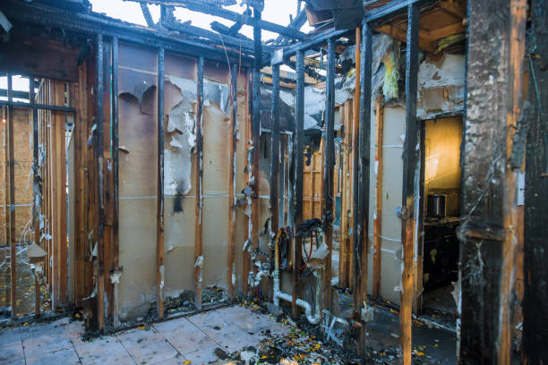 Professional Fire Damage Repair technician working in Lansdowne, MD